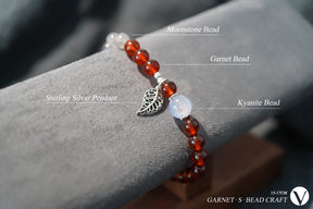 Garnet · Kyanite